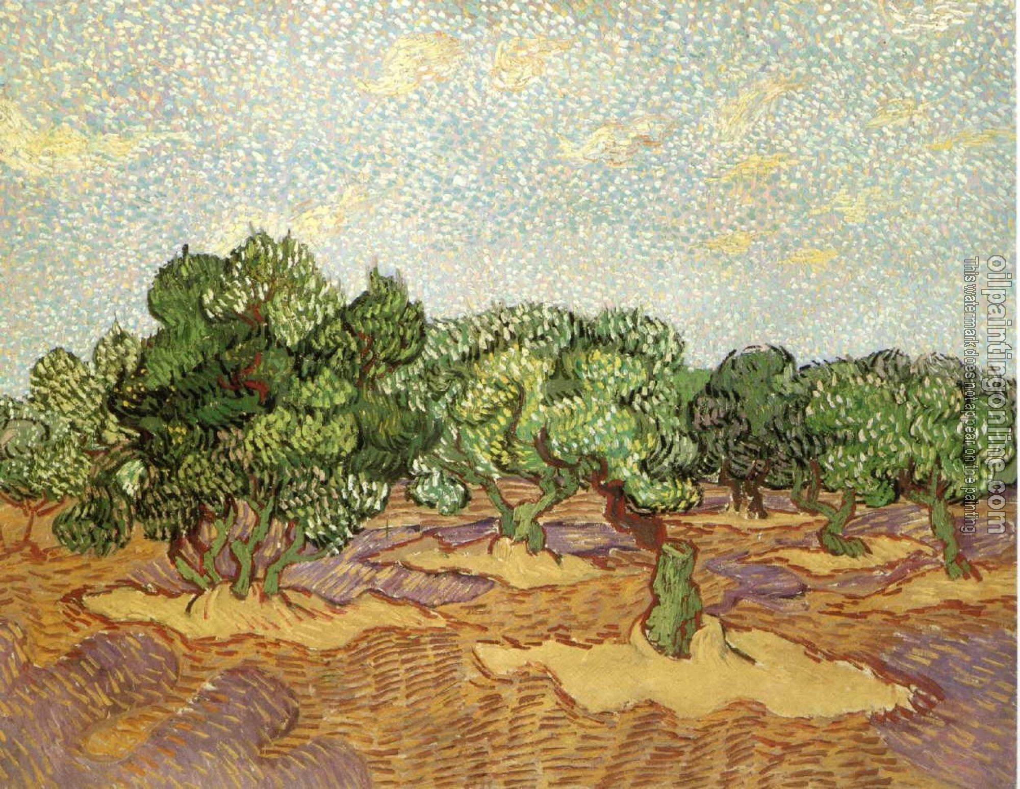 Gogh, Vincent van - Olive Grove, Pale Blue Sky